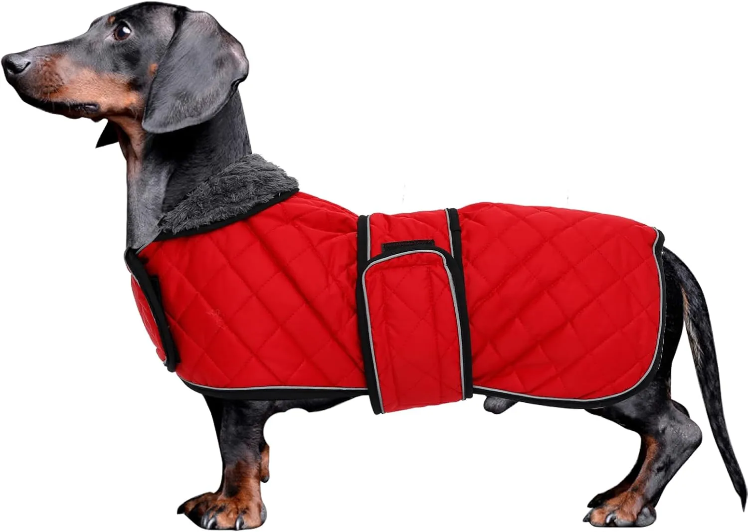 Morezi Dog Coat, Medium, Red, Water Resistant, Padded Fleece Lining, Adjustable Straps - Dachshund