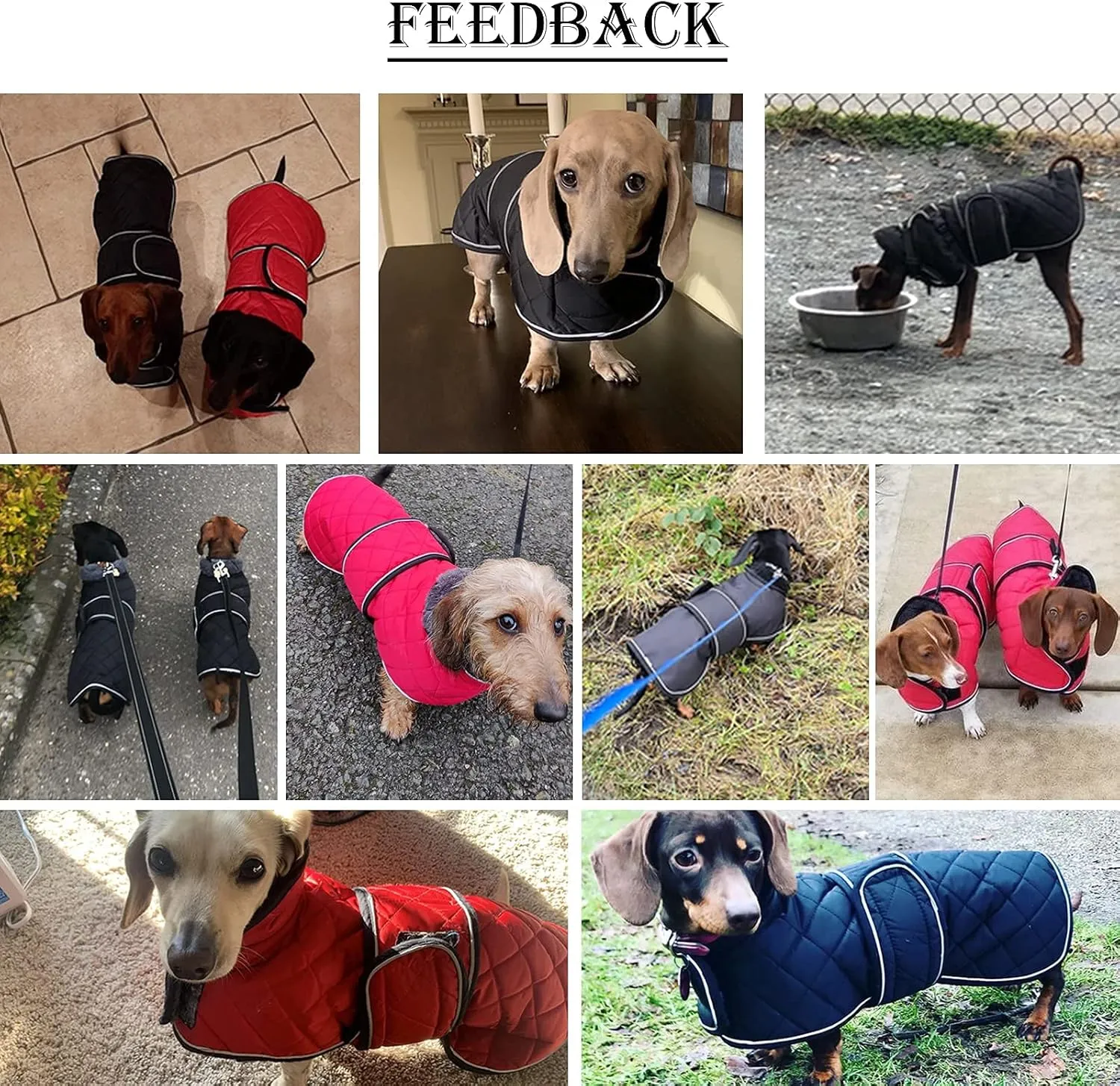 Morezi Dog Coat, Medium, Red, Water Resistant, Padded Fleece Lining, Adjustable Straps - Dachshund