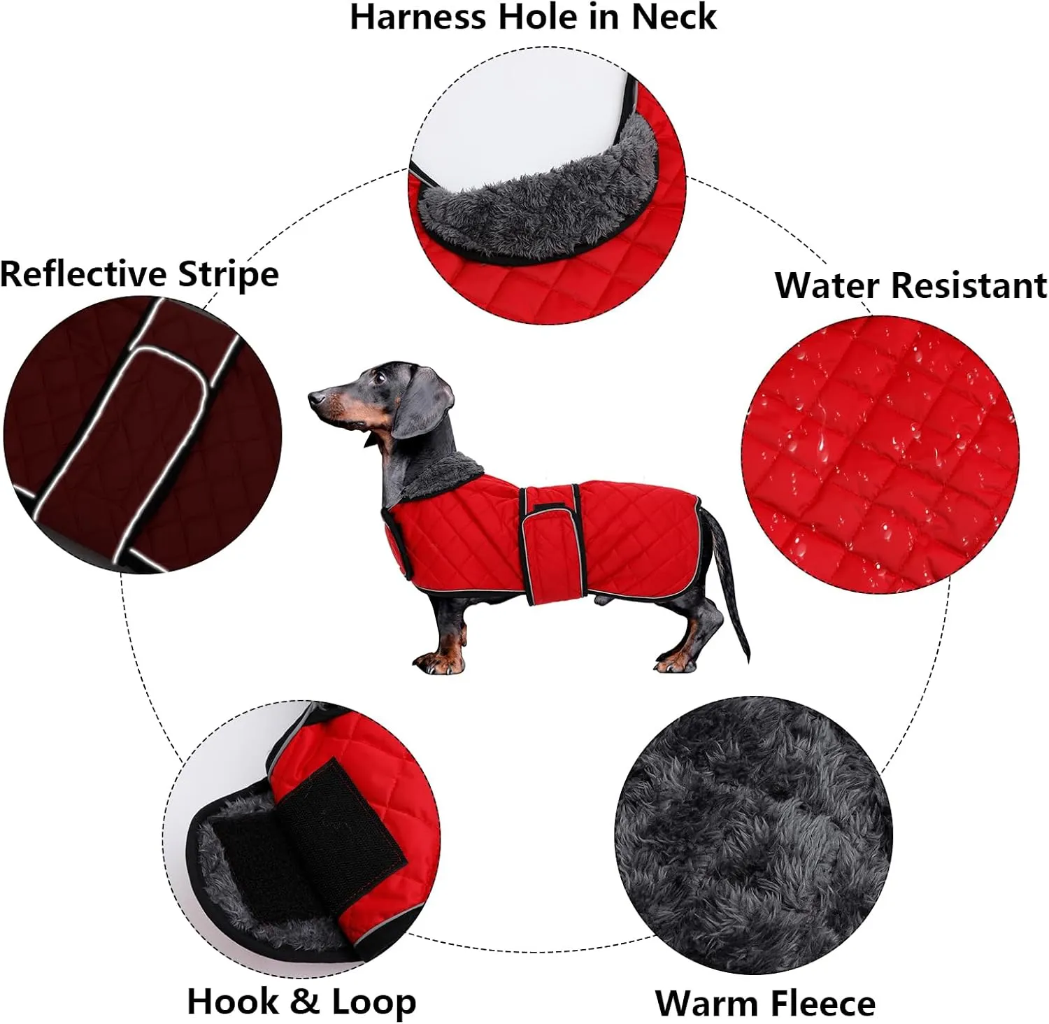 Morezi Dog Coat, Medium, Red, Water Resistant, Padded Fleece Lining, Adjustable Straps - Dachshund