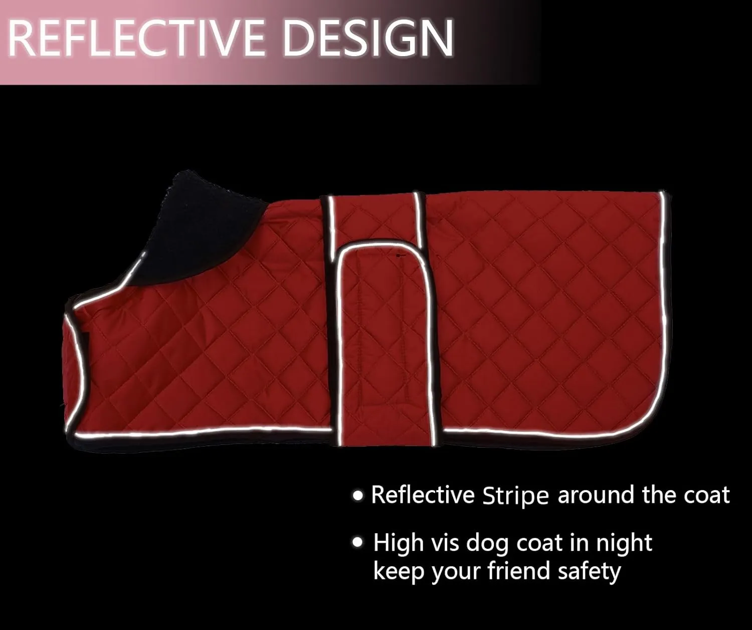Morezi Dog Coat, Medium, Red, Water Resistant, Padded Fleece Lining, Adjustable Straps - Dachshund