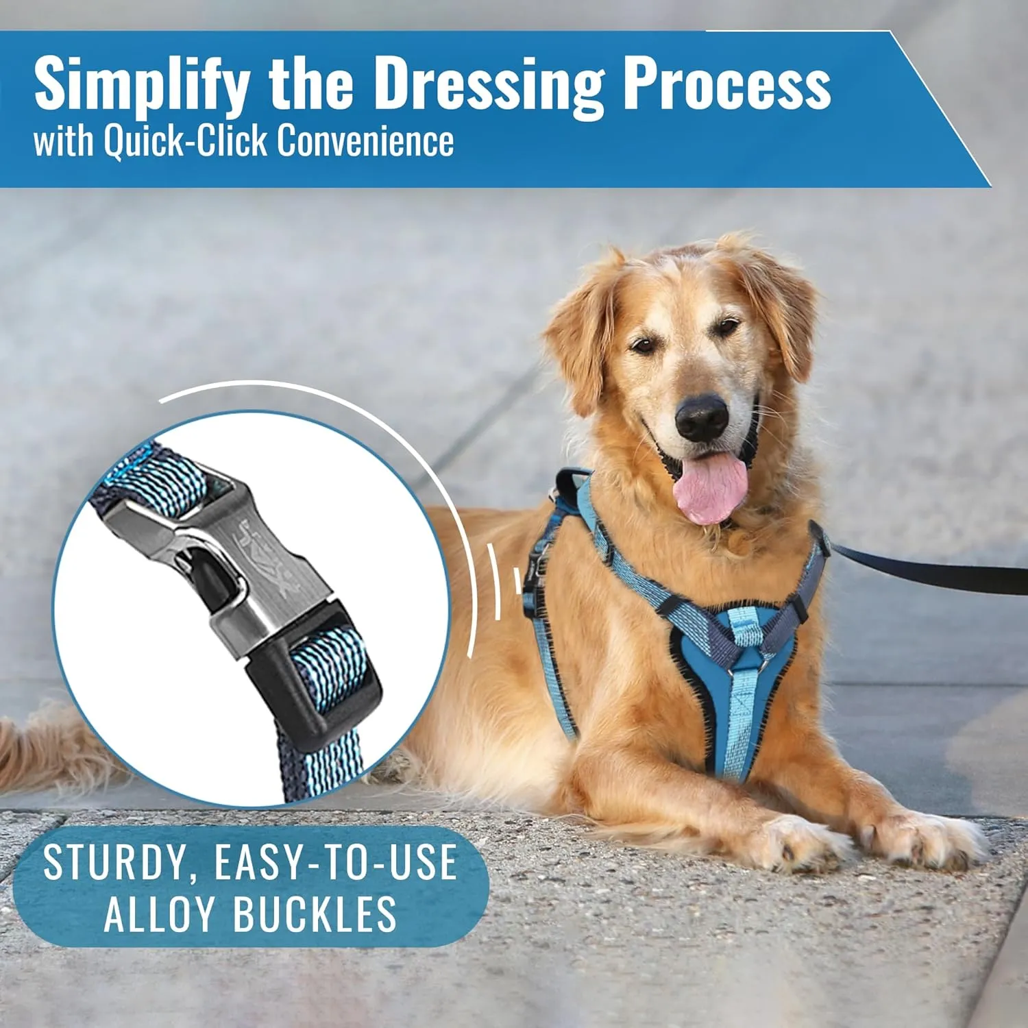 No-Pull Dog Harness with Handle - Escape Proof, Anti-Pulling, Grip Control, Multi-Angle Reflective for Safe Walks & Training, Easy On & Off, Metal BucklePet Harness, Medium/Large Dogs- N H4- Blue