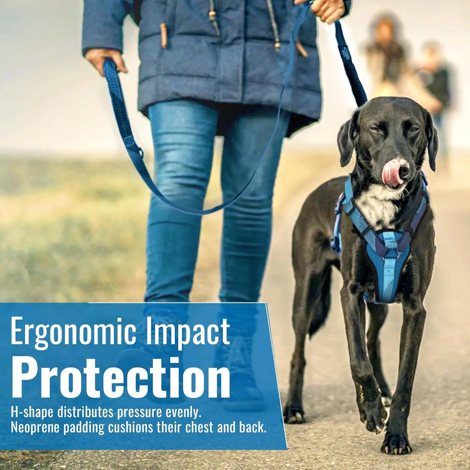 No-Pull Dog Harness with Handle - Escape Proof, Anti-Pulling, Grip Control, Multi-Angle Reflective for Safe Walks & Training, Easy On & Off, Metal BucklePet Harness, Medium/Large Dogs- N H4- Blue