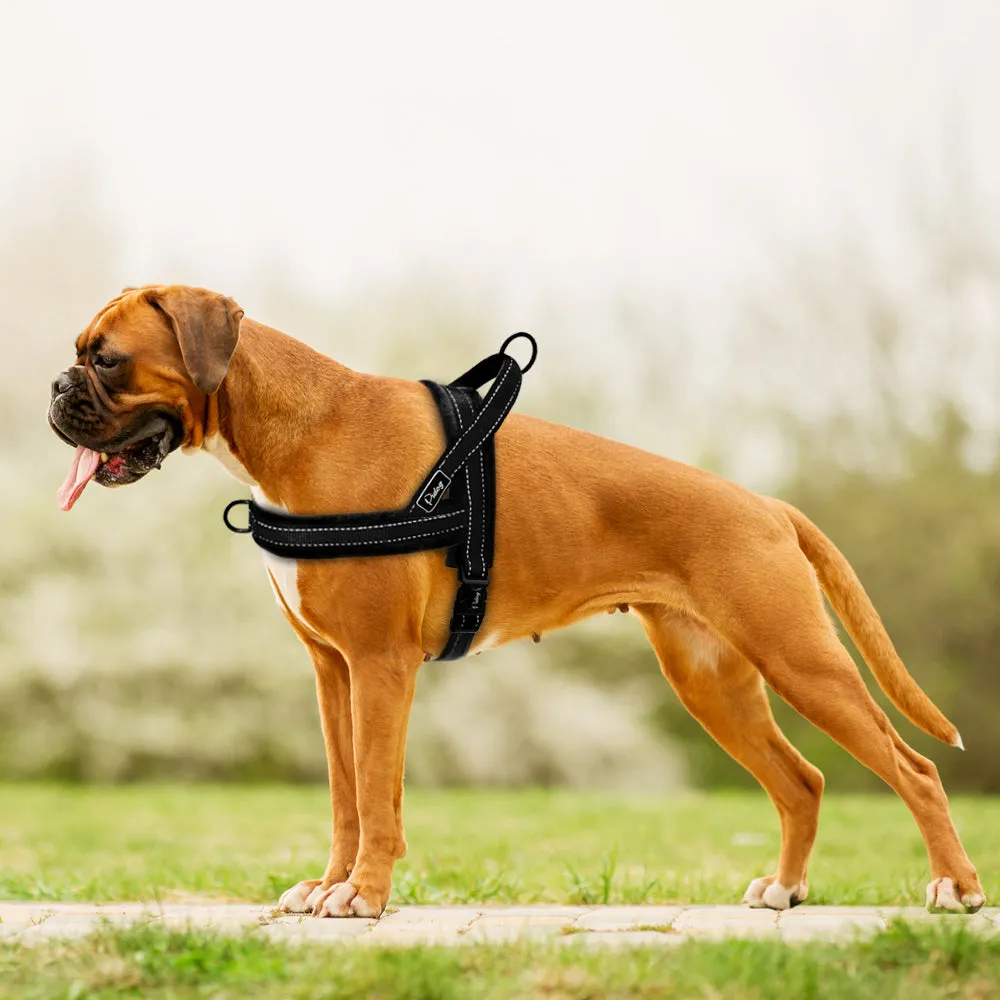 No Pull Nylon Dog Harness