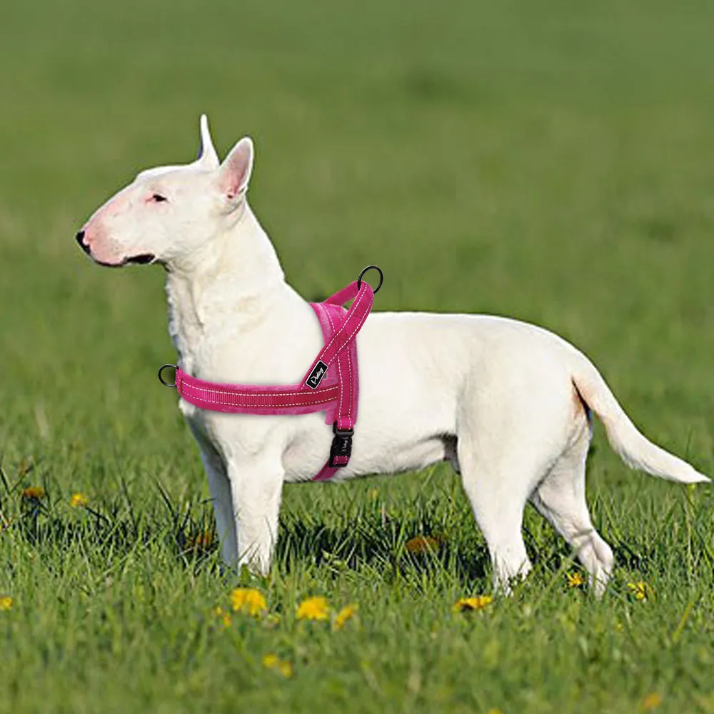 No Pull Nylon Dog Harness