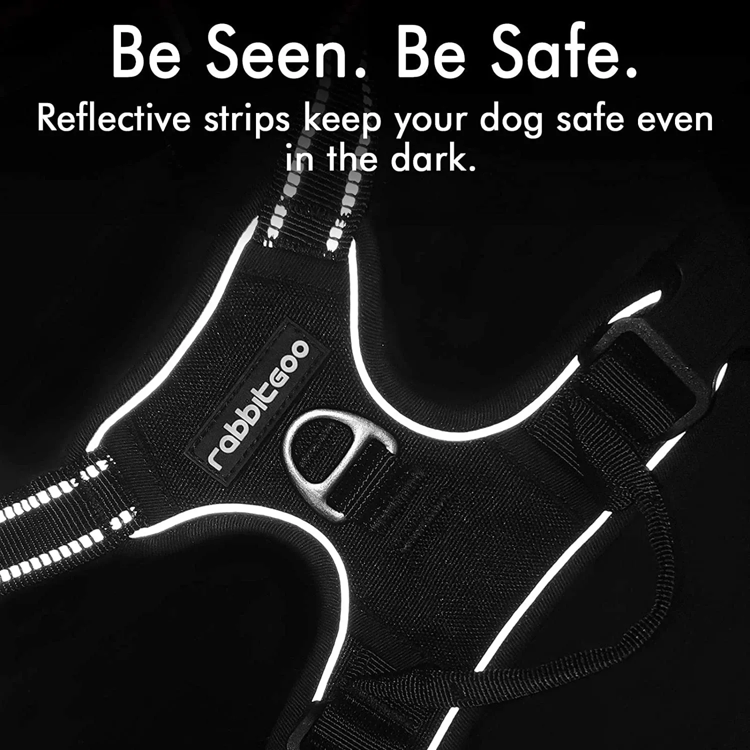 No-Pull Pet Harness with 2 Leash Clips