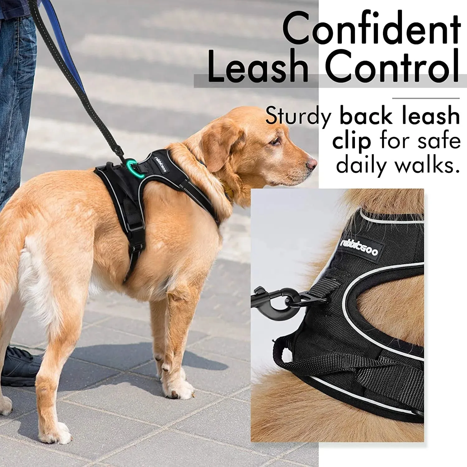 No-Pull Pet Harness with 2 Leash Clips