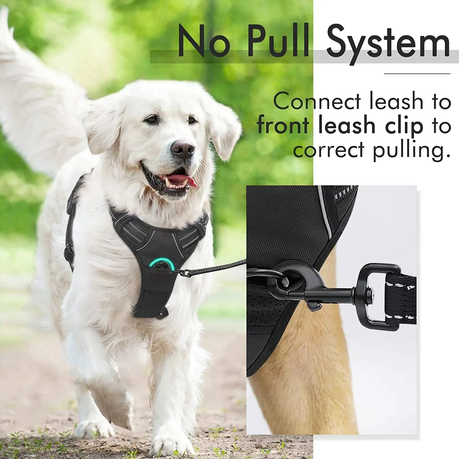 No-Pull Pet Harness with 2 Leash Clips