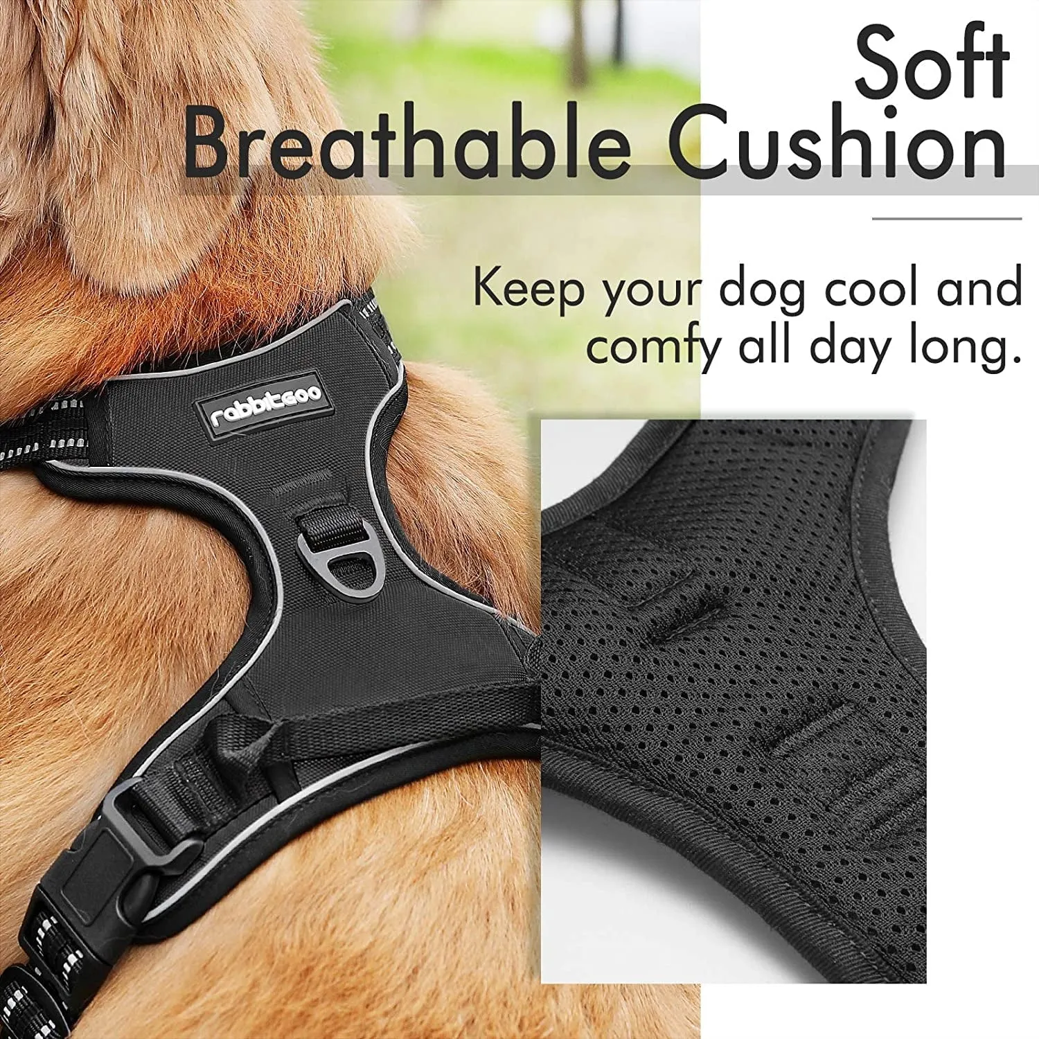 No-Pull Pet Harness with 2 Leash Clips