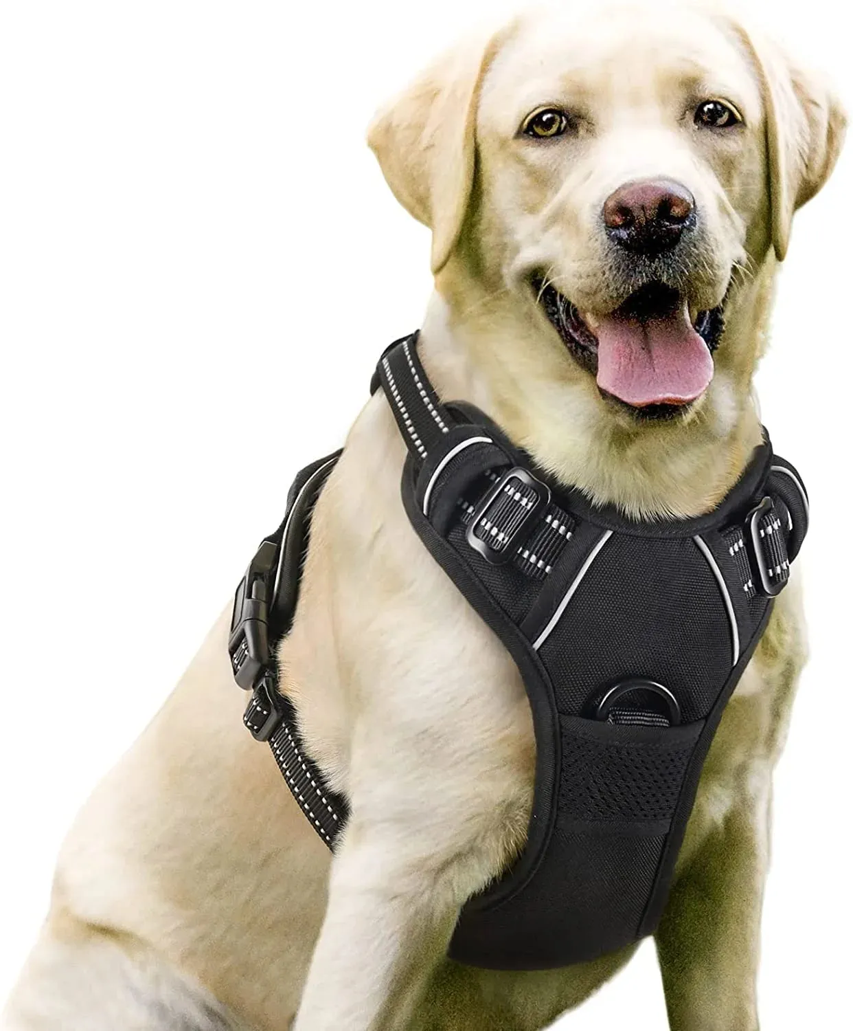 No-Pull Pet Harness with 2 Leash Clips