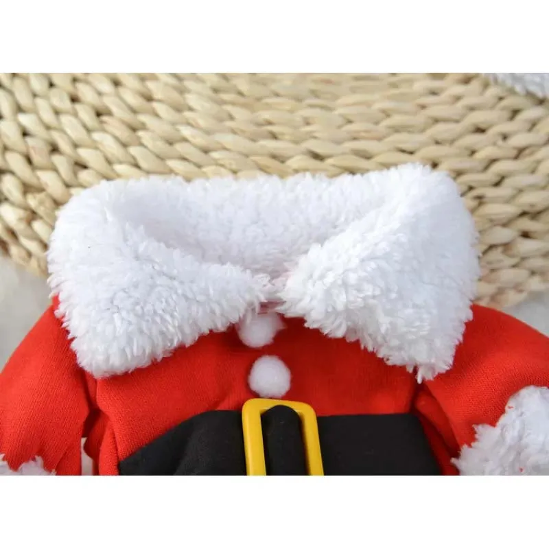 Pet Christmas Standing Costume – Festive Holiday Outfit for Pets