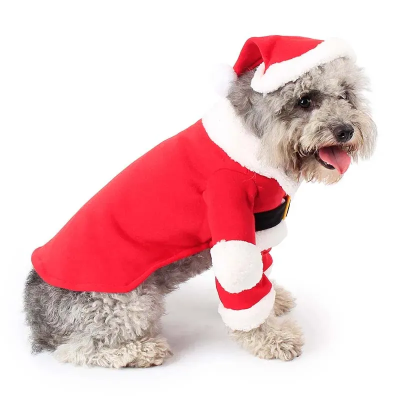 Pet Christmas Standing Costume – Festive Holiday Outfit for Pets