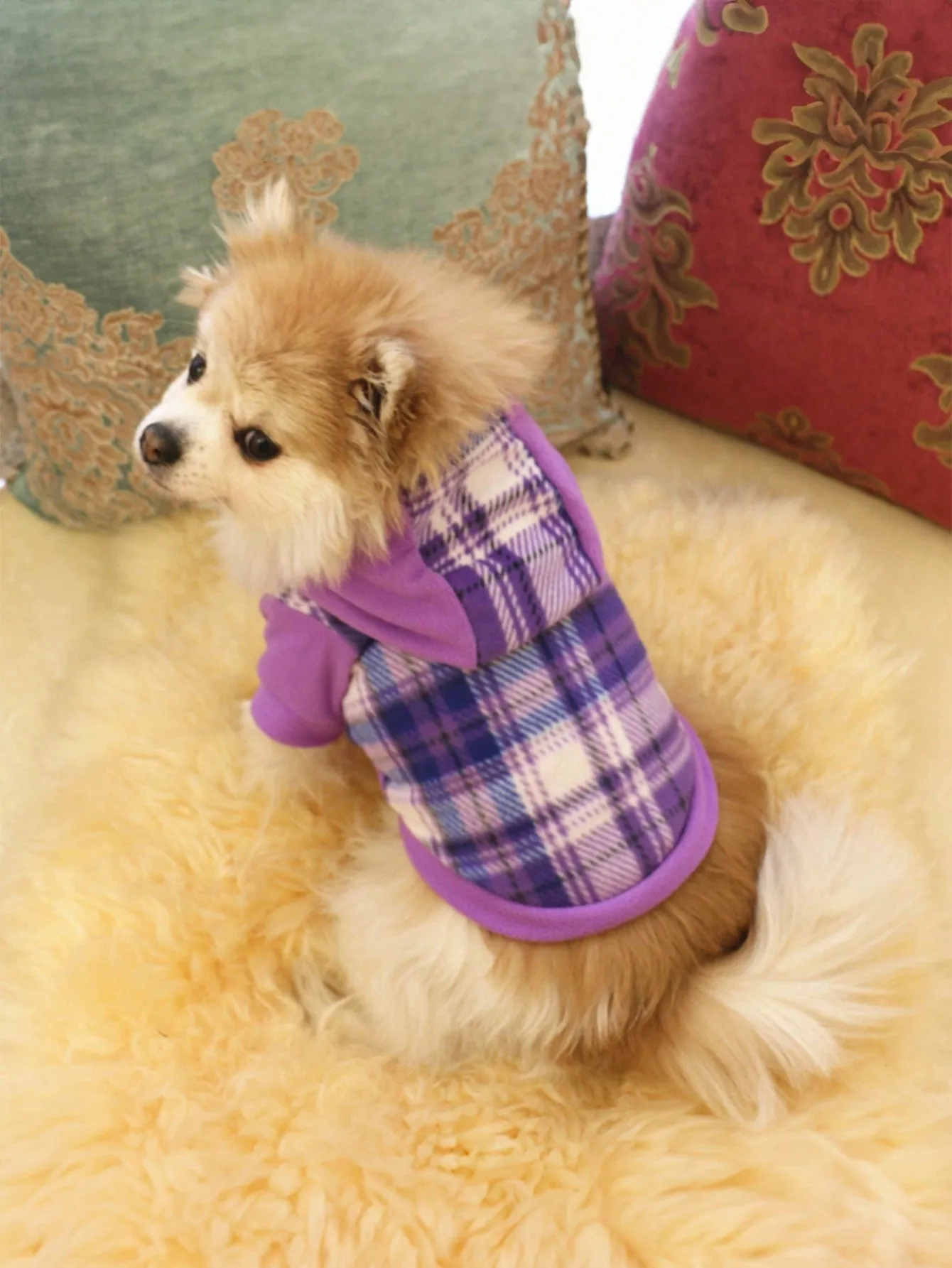 Pet coats|Pet Clothing, Black And White Hooded Outfit, Warm Pet Coat For Autumn/Winter
