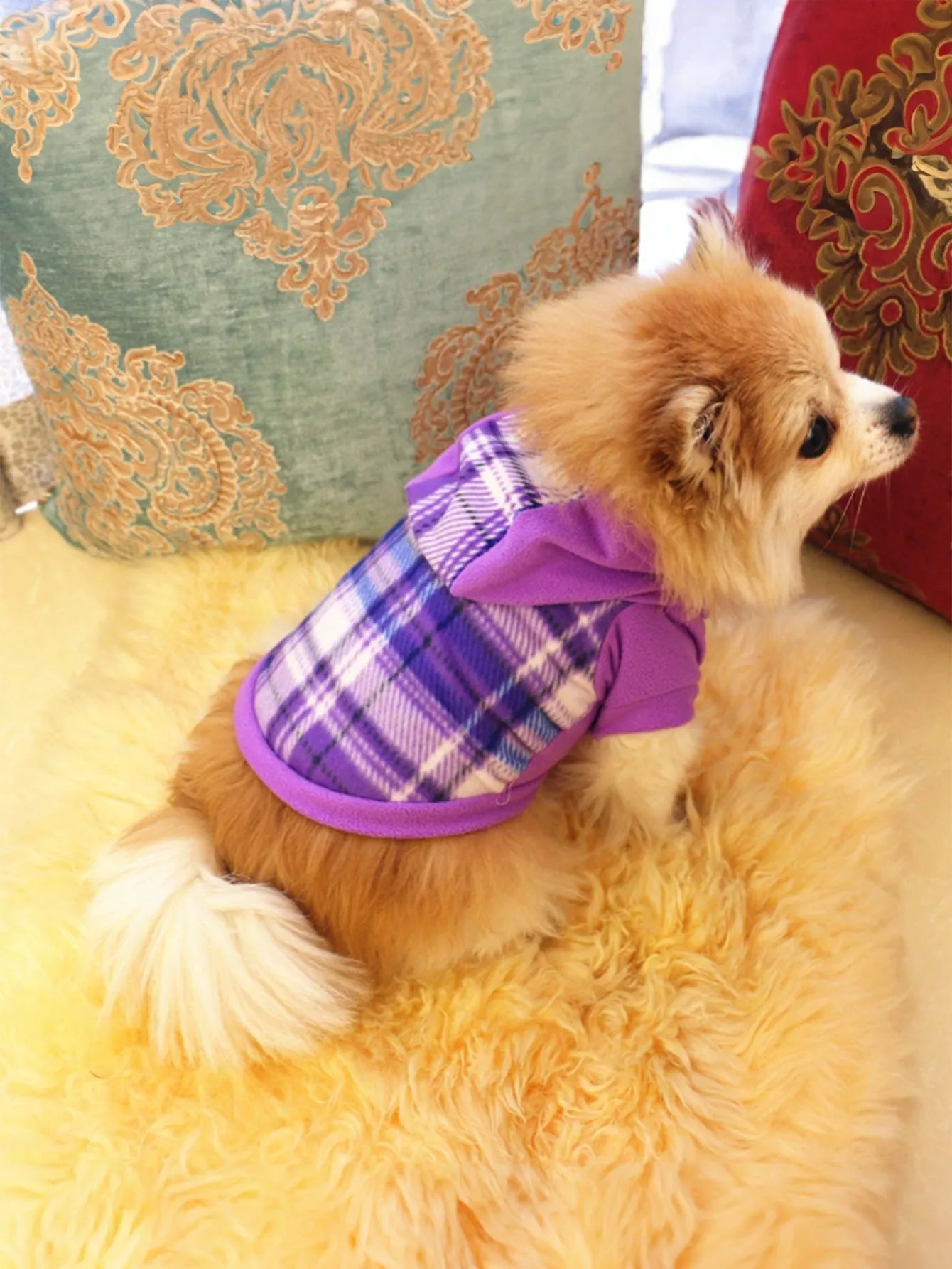 Pet coats|Pet Clothing, Black And White Hooded Outfit, Warm Pet Coat For Autumn/Winter