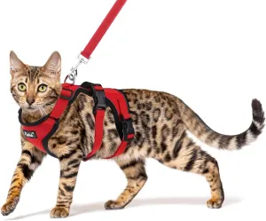 PUPTECK Cat Harness and Leash Set Escape Proof for Walking, Breathable Mash Vest Adjustable Harness for Cats Puppy Small Animals, Reflective at Night, Red Small