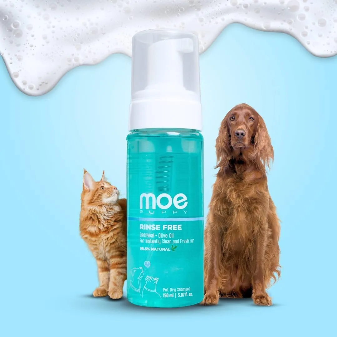 Rinse Free Pet Dry Shampoo for Instantly Clean and Fresh Fur Waterless Foam Cleanser for Dogs and Cats (150 ml)