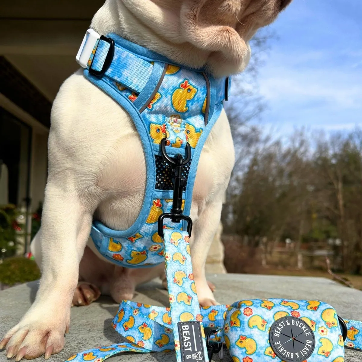 Rubber Ducky No Pull Dog Harness
