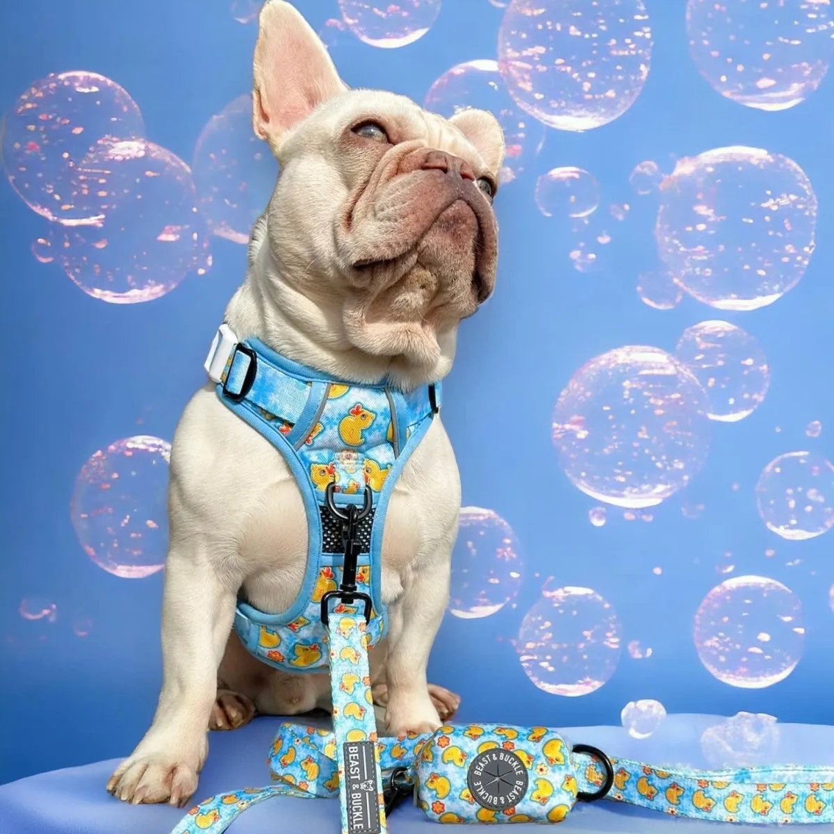 Rubber Ducky No Pull Dog Harness