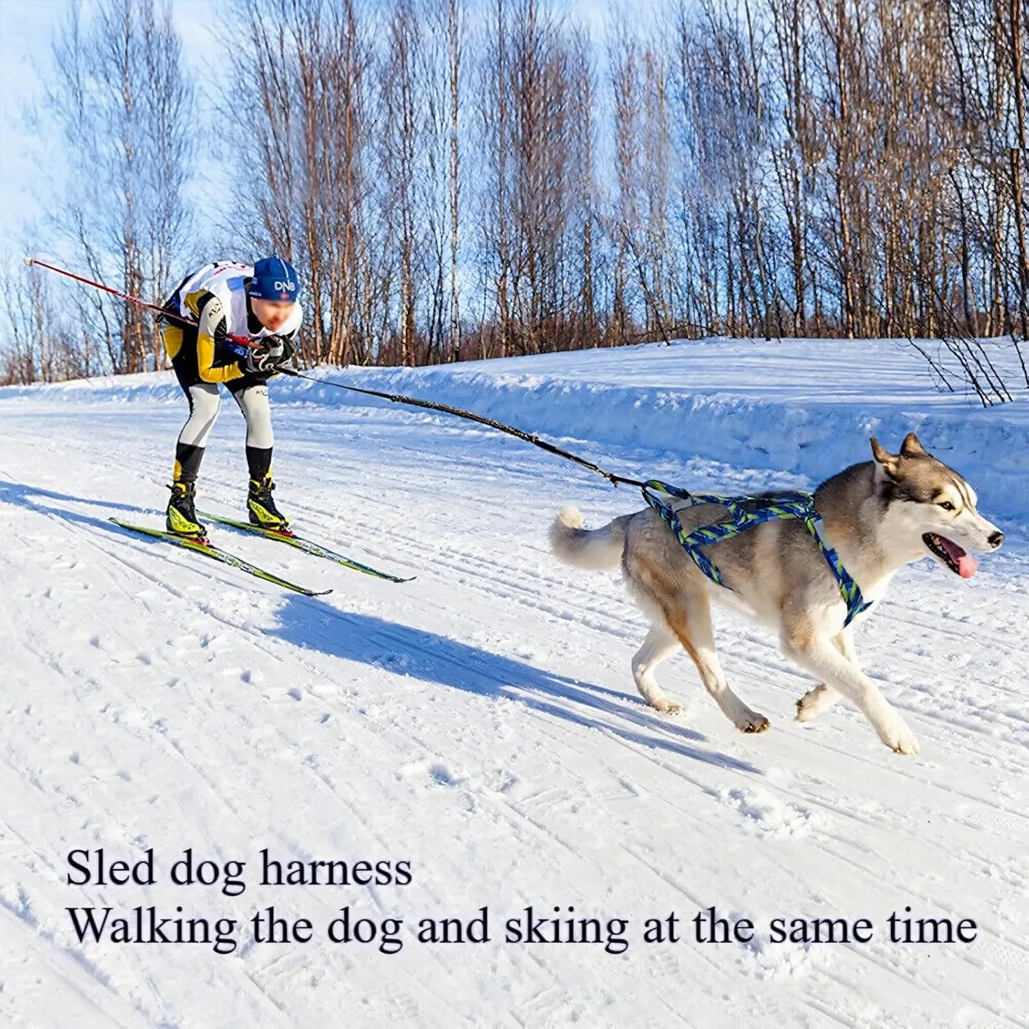 Sled Dog Chest and Back Harness, Suitable for Medium and Large Dogs, Husky Alaskan Snowboard Leash Traction Rope, Dog Weight Pulling Safety Belt (Red, L)