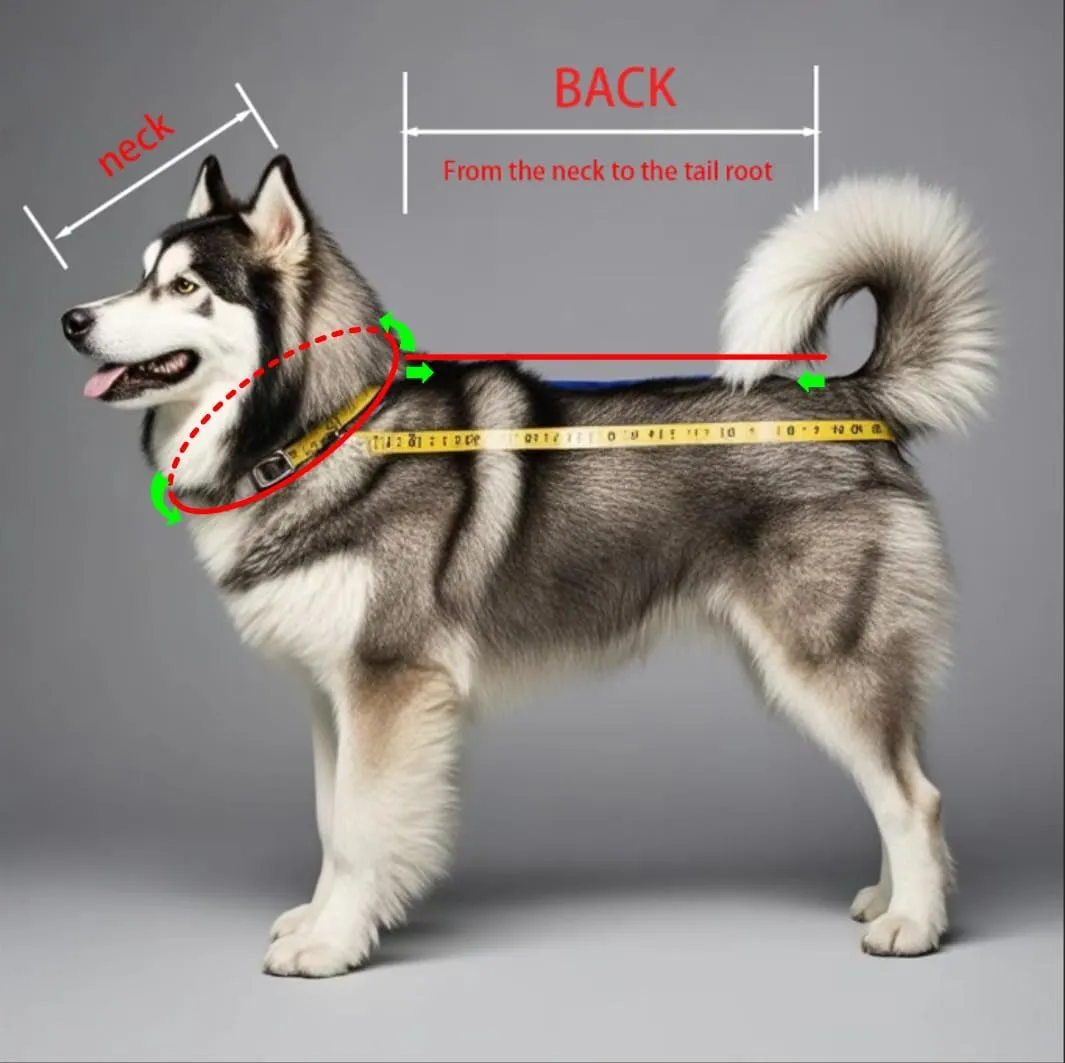 Sled Dog Chest and Back Harness, Suitable for Medium and Large Dogs, Husky Alaskan Snowboard Leash Traction Rope, Dog Weight Pulling Safety Belt (Red, L)