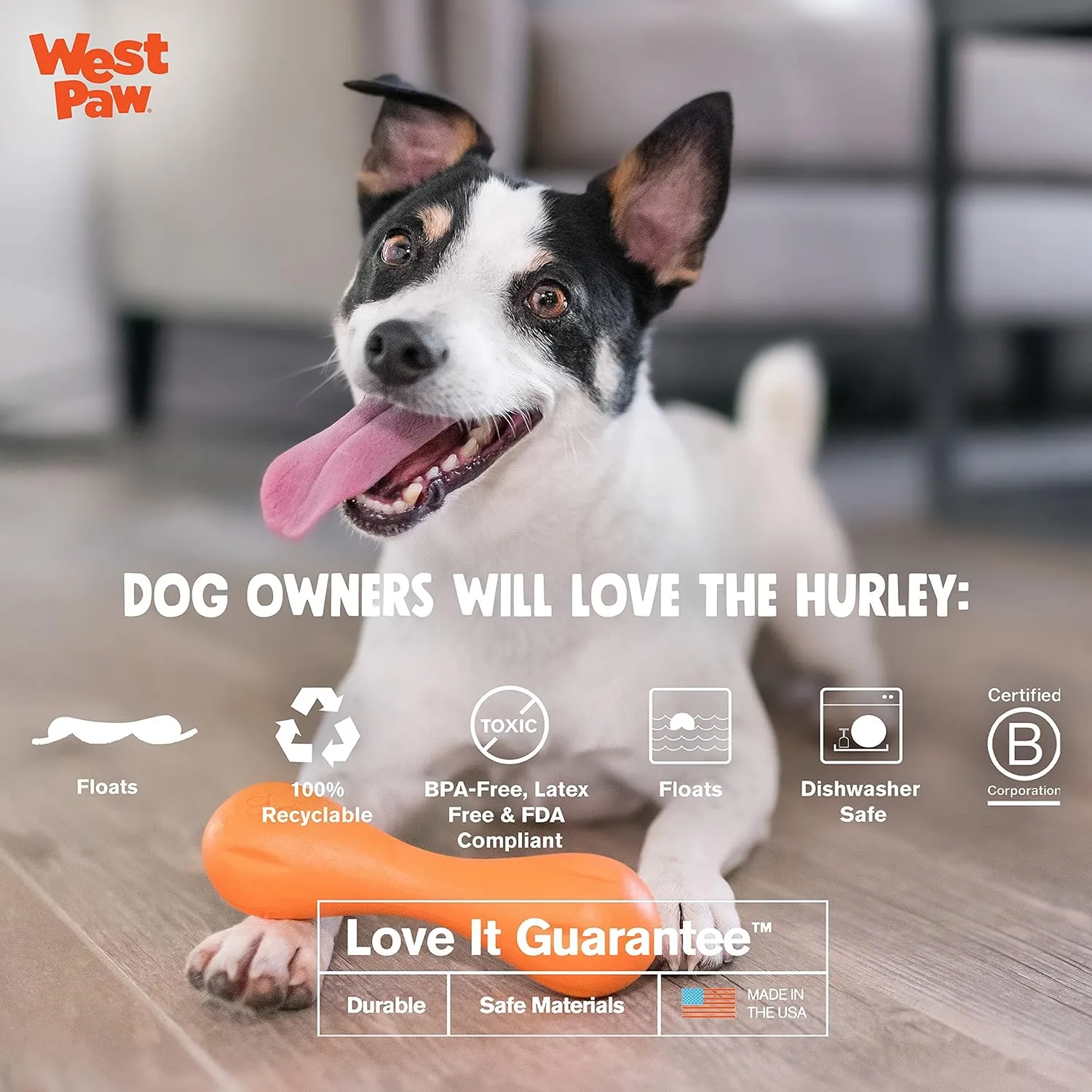 WEST PAW Zogoflex Hurley Dog Bone Chew Toy  Floatable Pet Toys for Aggressive Chewers, Catch, Fetch  Bright-Colored Bones for Dogs  Recyclable, Dishwasher-Safe, Non-Toxic, Small, Aqua