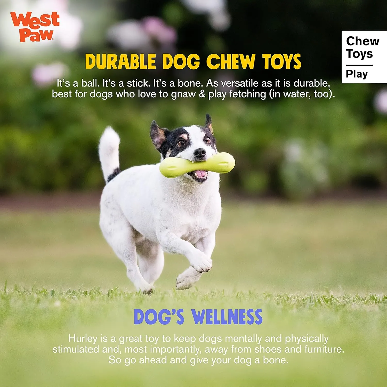 WEST PAW Zogoflex Hurley Dog Bone Chew Toy  Floatable Pet Toys for Aggressive Chewers, Catch, Fetch  Bright-Colored Bones for Dogs  Recyclable, Dishwasher-Safe, Non-Toxic, Small, Aqua