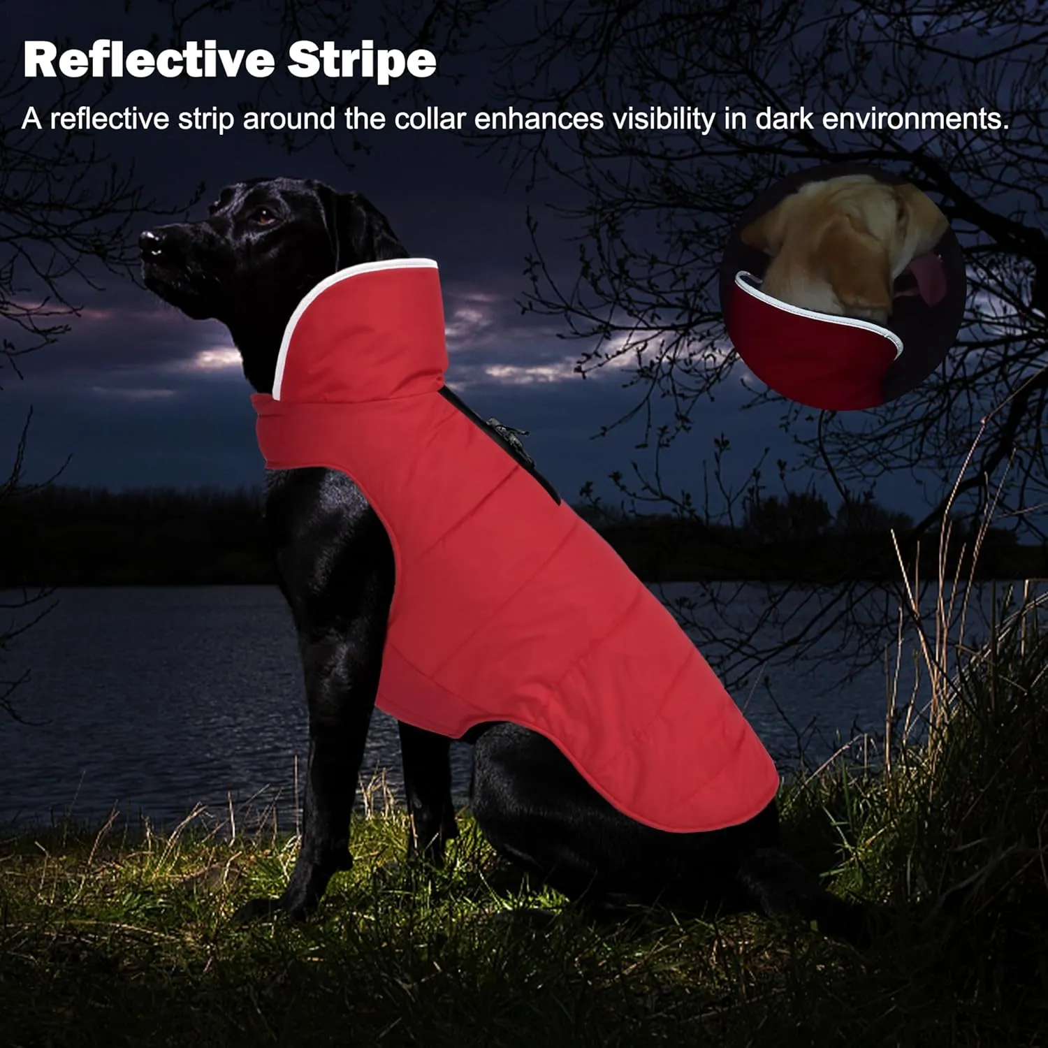 Winter Coat, Waterproof Dog Jacket with Leash Hole, Reflective Warm Snow Jacket Windproof Fleece Vest for Small to Large Dogs - Red, XS