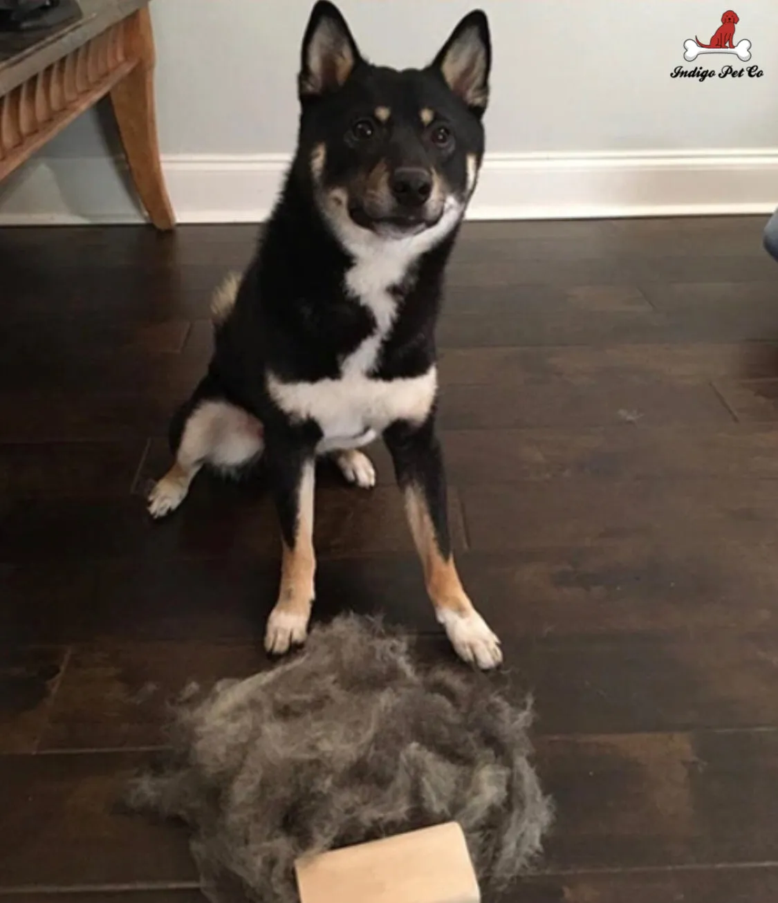 World's Most Effective DeShedding Comb