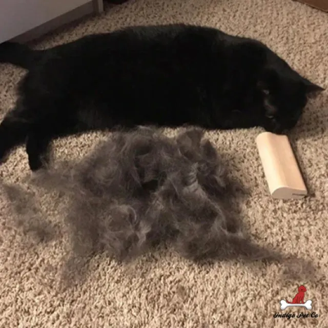 World's Most Effective DeShedding Comb